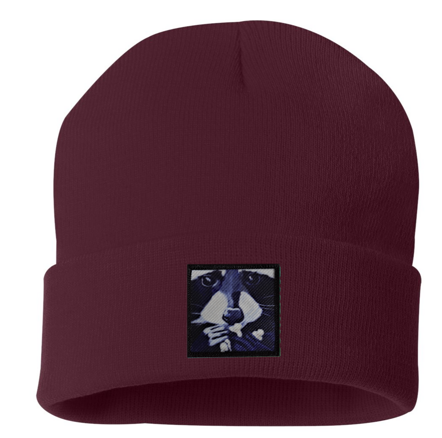 Raccoon Pop Beanie