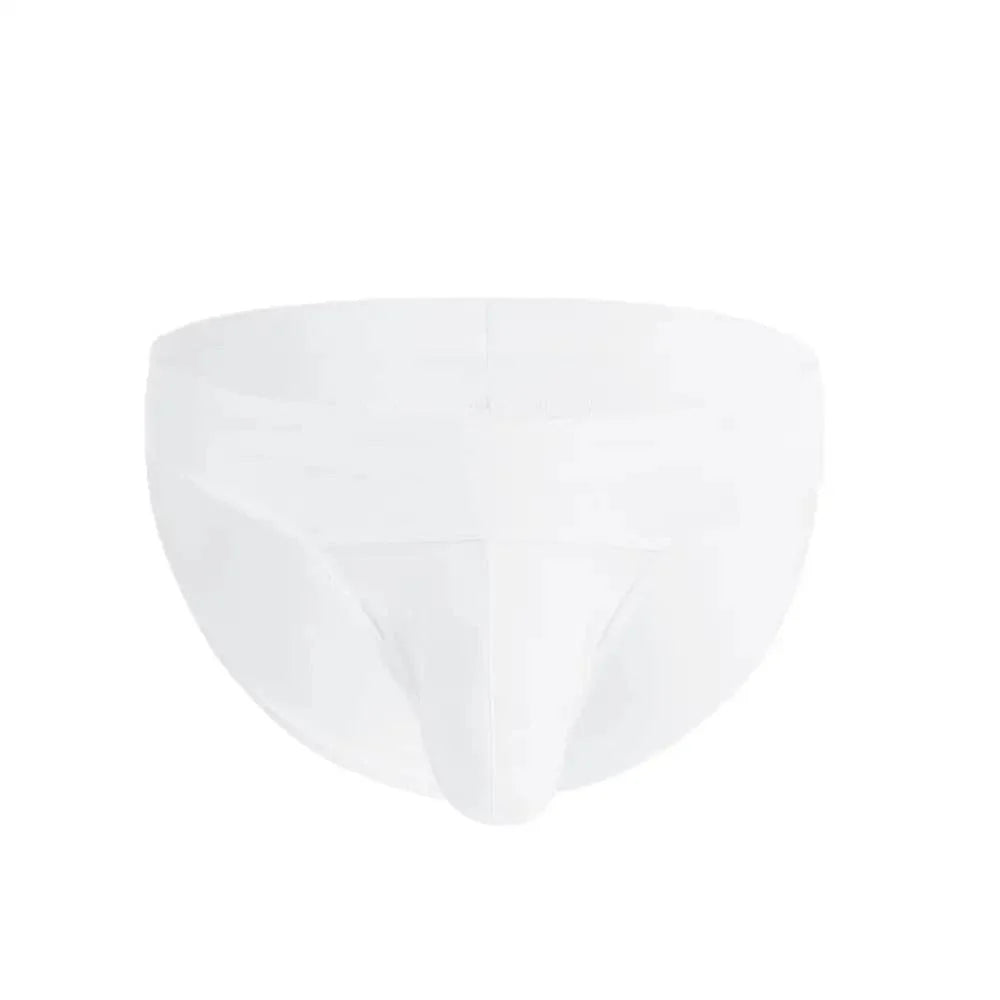 Men's Briefs Underwear Big Pouch Clever Menmode