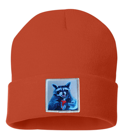 Camp Crasher Raccoon Beanie