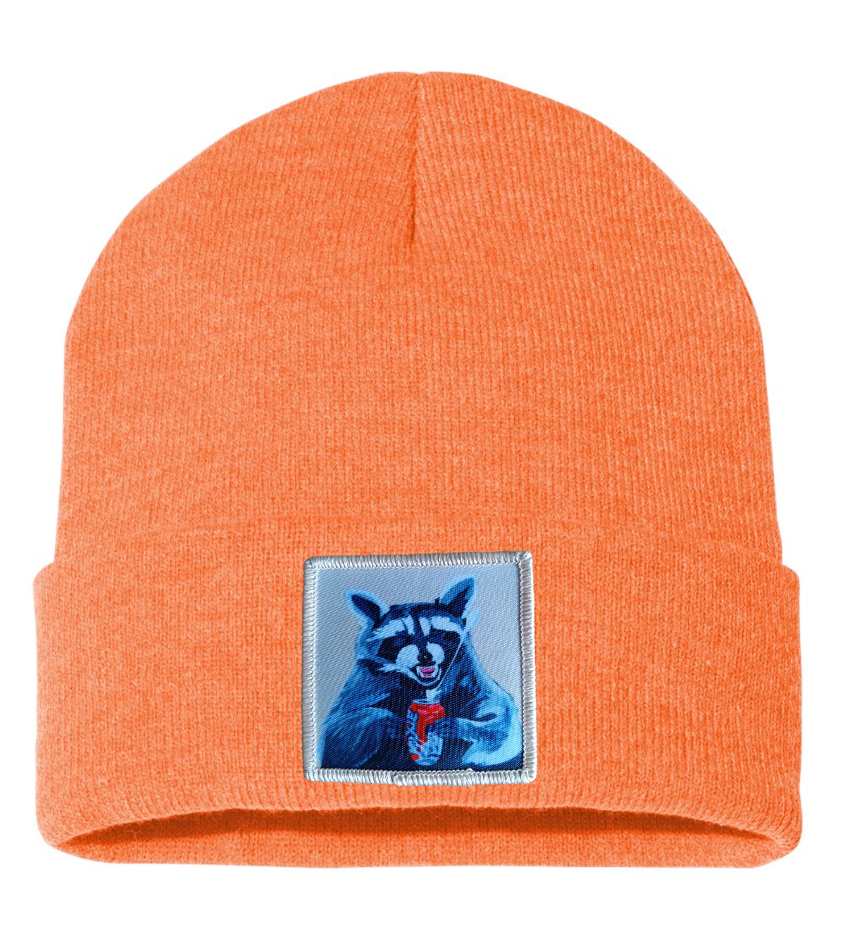 Camp Crasher Raccoon Beanie