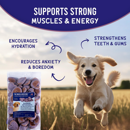 Much-Loved Dog™ Blueberry BUNDLE