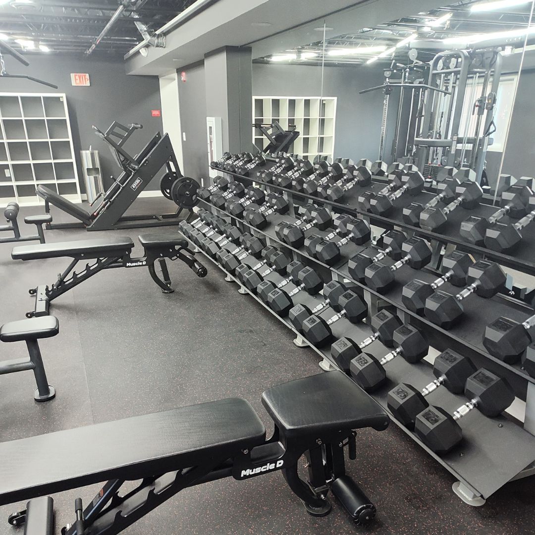 Rubber Hex Dumbbell Set - Muscle D FItness - Steel Handle - Quality knurling - Weightlfting