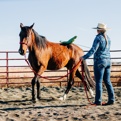 14 Ft Clinician Weighted Lead Rope w/ Snap