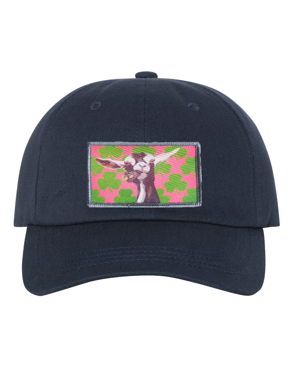 Eco-Washed Dad Hat