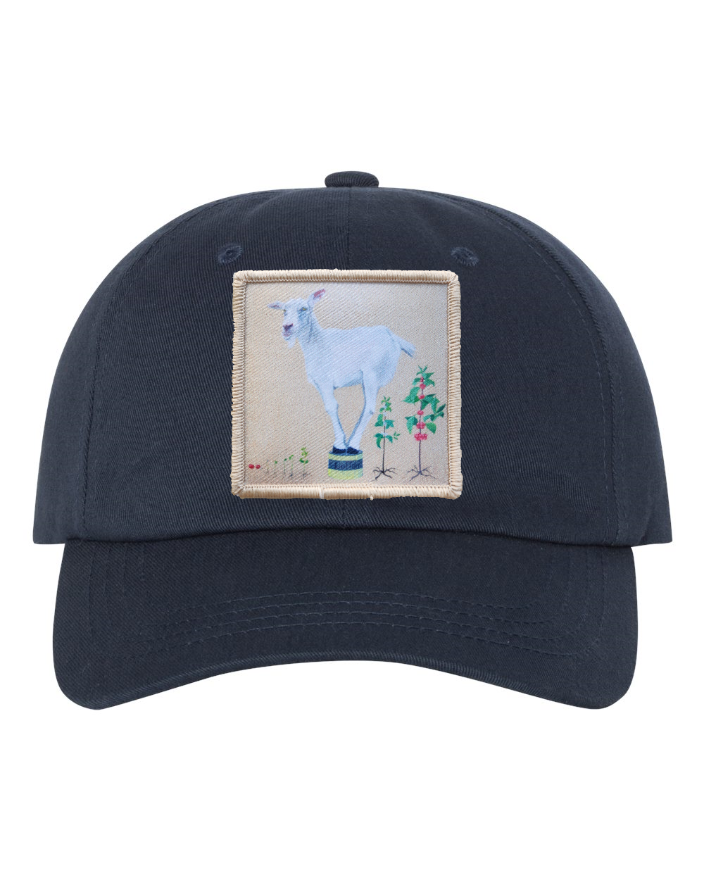 Eco-Washed Dad Hat