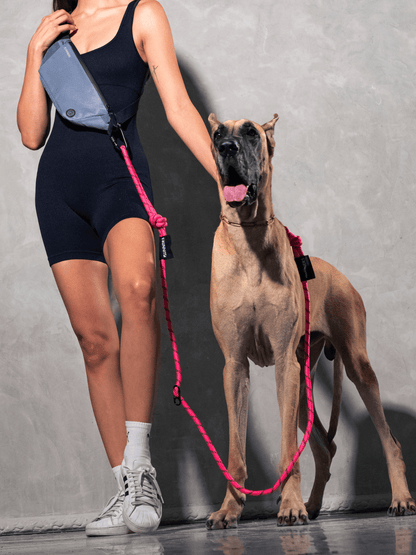 Neon Pink Runners Hands-Free Dog Leash
