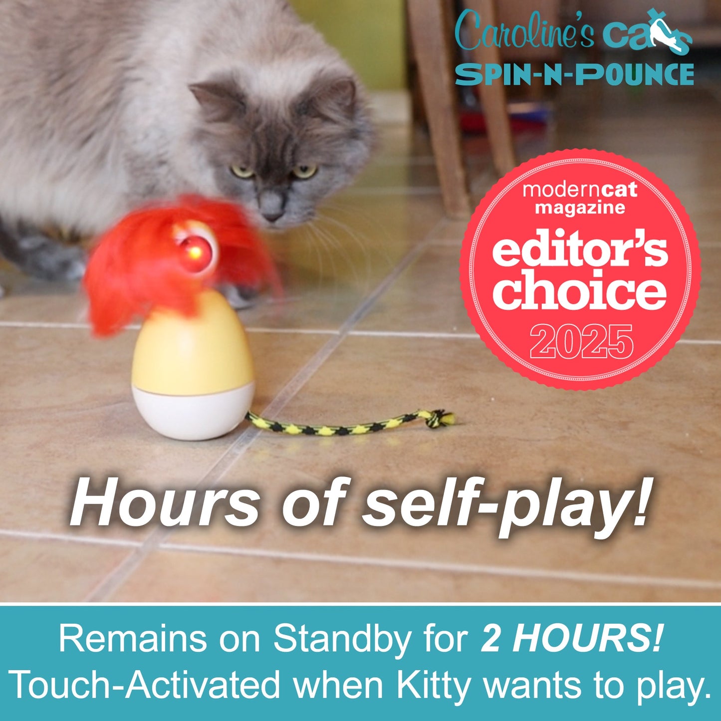 Caroline's Cats Spin-N-Pounce Rechargeable Automatic Interactive Indoor Dancing Cat Toy; Touch Sensor & Auto Shut Off, 360° Rotation, Silent Motor, LED Light, Simulates Prey for Hunting & Exercise