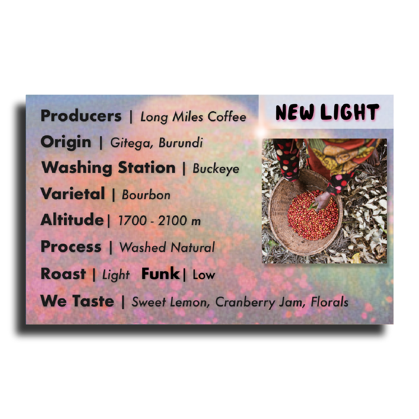 New Light - Triathlete Store