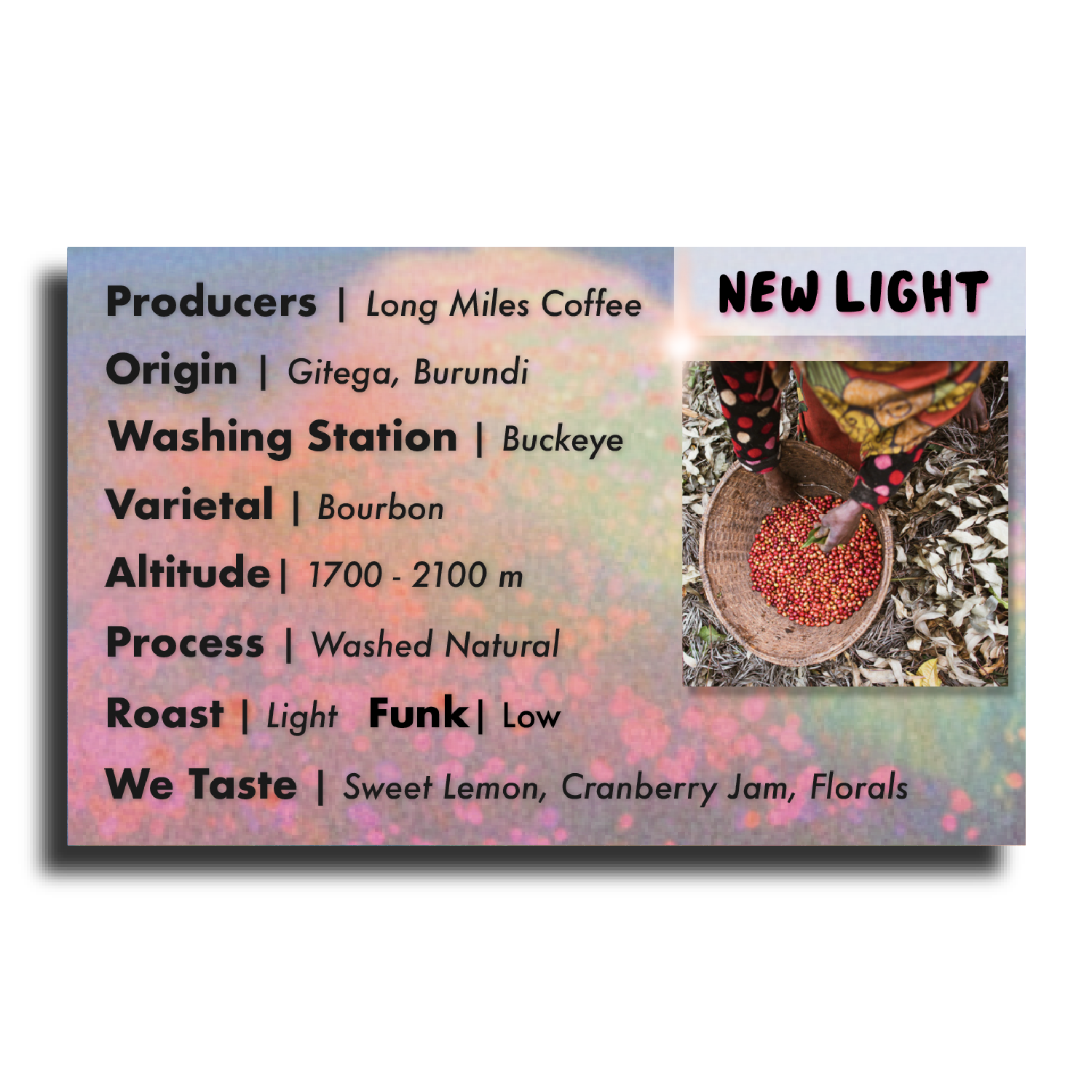 New Light - Triathlete Store