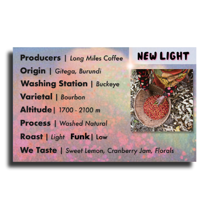 New Light - Triathlete Store