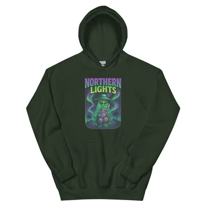 Northern Lights Unisex Hoodie