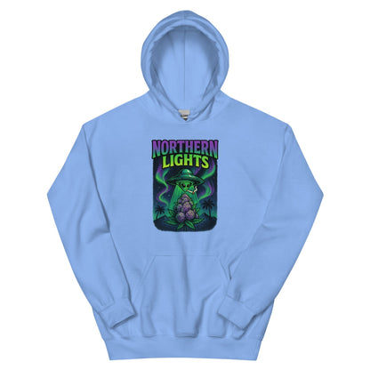 Northern Lights Unisex Hoodie