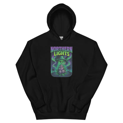 Northern Lights Unisex Hoodie