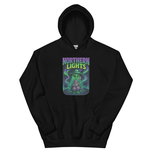 Northern Lights Unisex Hoodie
