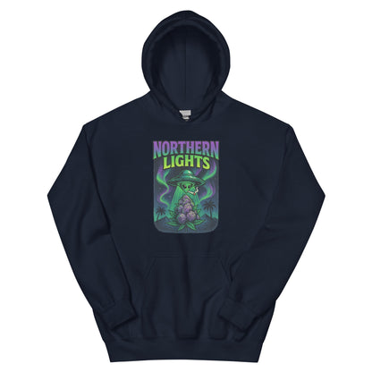 Northern Lights Unisex Hoodie
