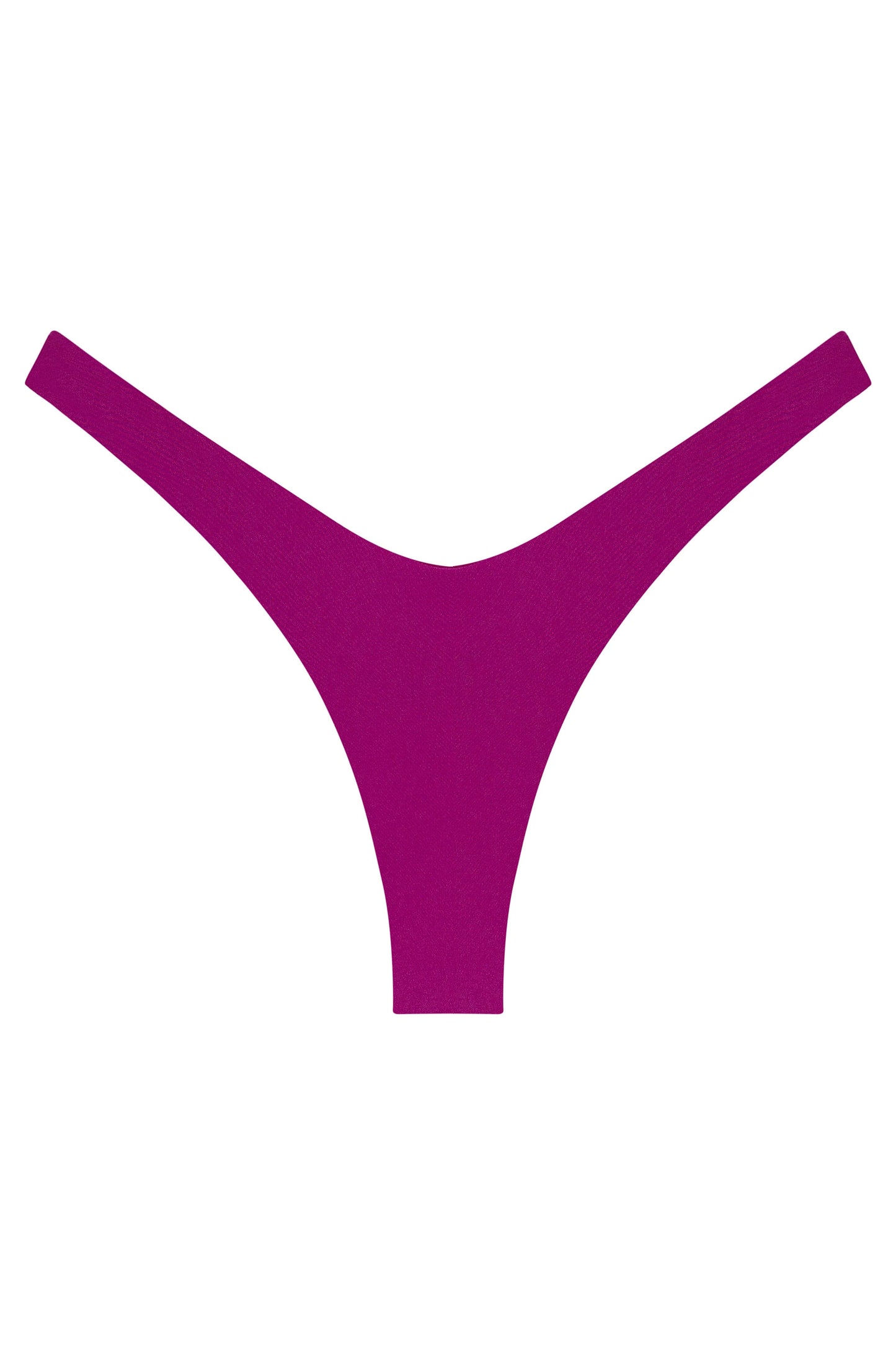 Ludisia Bottom
