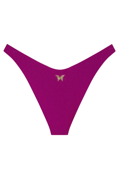 Ludisia Bottom