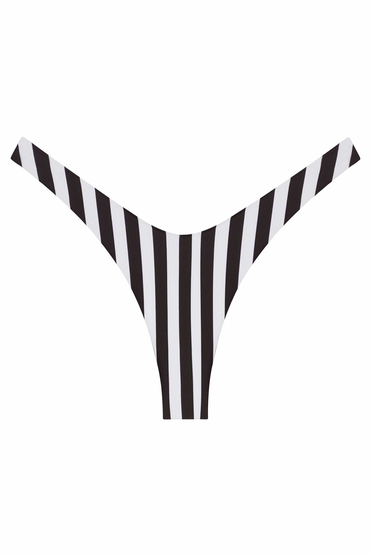 Ludisia Bottom