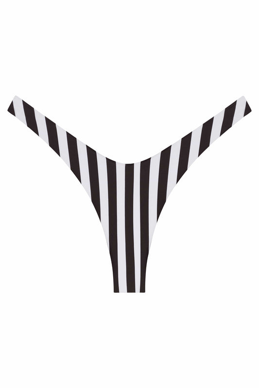 Ludisia Bottom