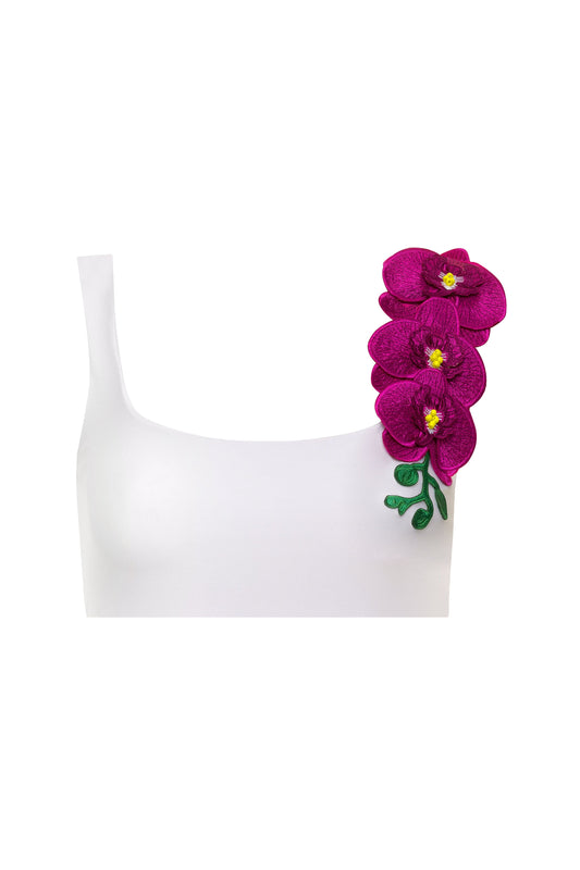 Orchids of Biscayne Top