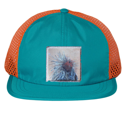 Wide Set Mesh Cap Orange/ Teal