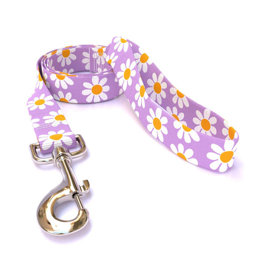 Lavender Daisy Dog Leash