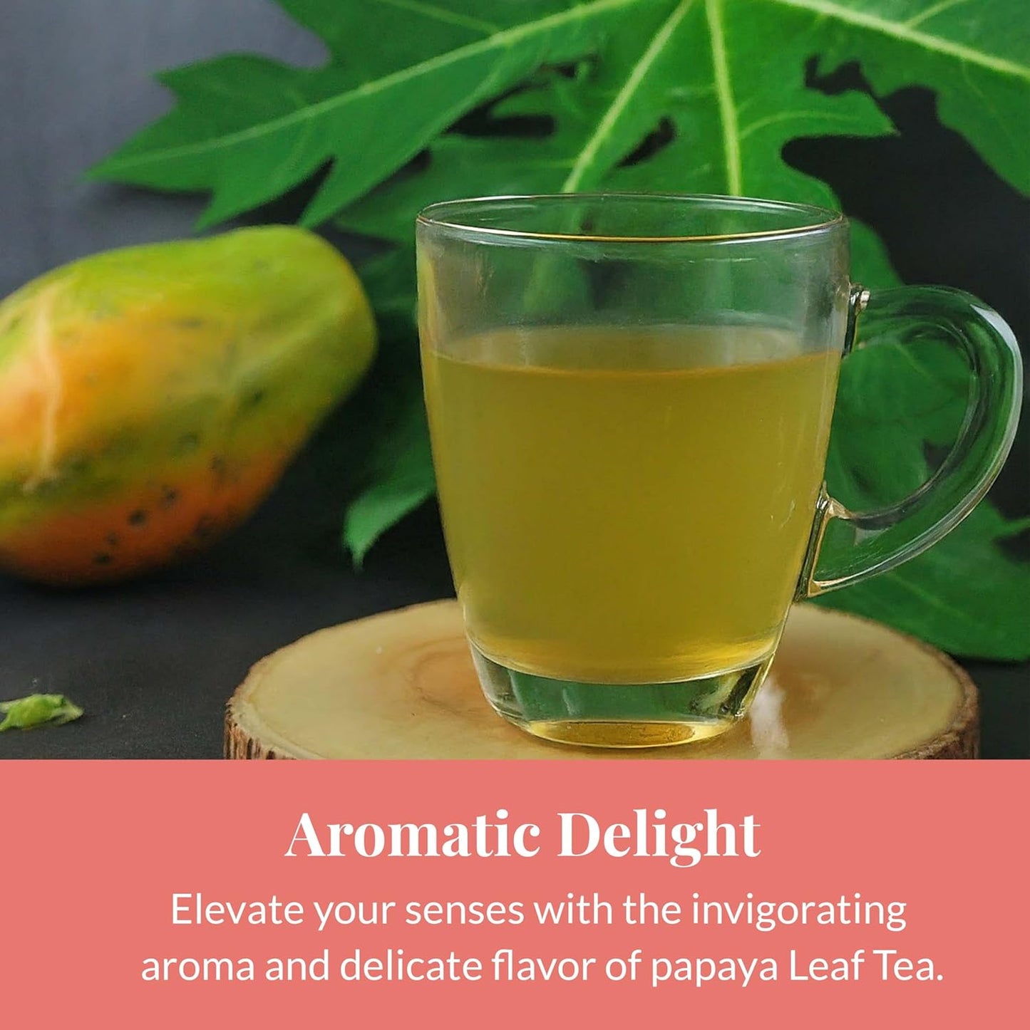 Papaya Leaf Tea Bags 75 Count – Caffeine-Free Herbal Tea for Immunity & Digestion