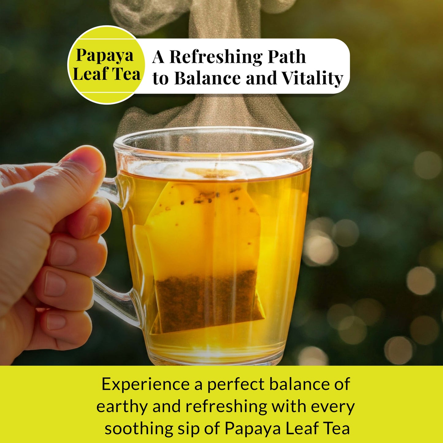 Papaya Leaf Tea Bags 75 Count – Caffeine-Free Herbal Tea for Immunity & Digestion