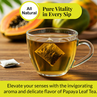 Papaya Leaf Tea Bags 75 Count – Caffeine-Free Herbal Tea for Immunity & Digestion