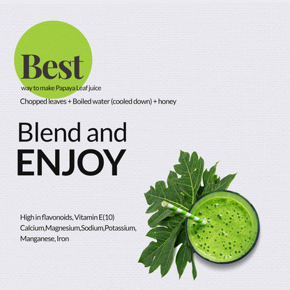 Akshit  Papaya Leaves, Hojas de papaya, 2.6oz, Dried From Green Papaya Leaf, Herbal Tea, Non GMO, Caffeine free, Sugar free, Rich In Vitamins.