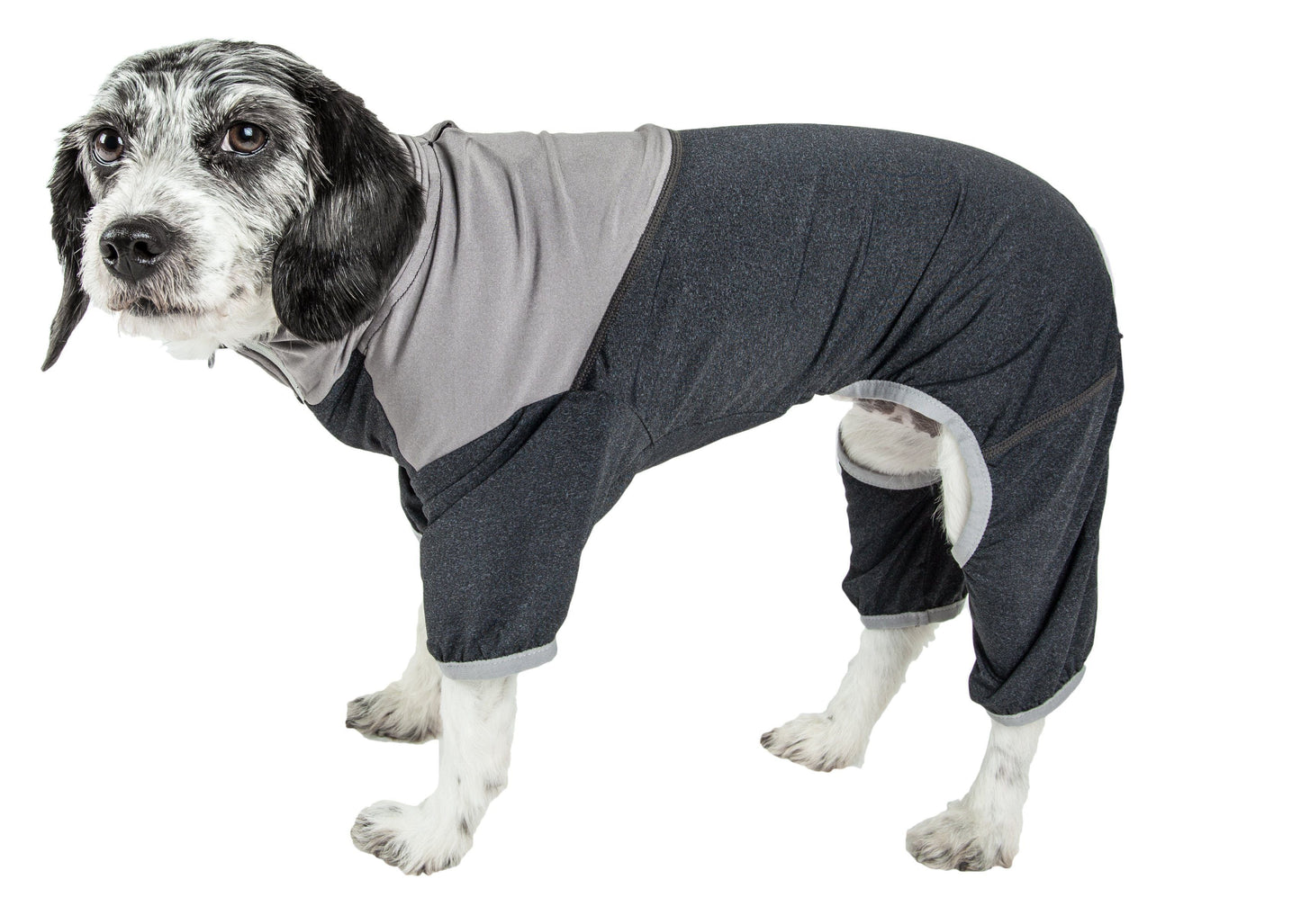 Pet Life ®  Active 'Embarker' 4-Way Stretch Fitness Yoga Full Body Dog Tracksuit