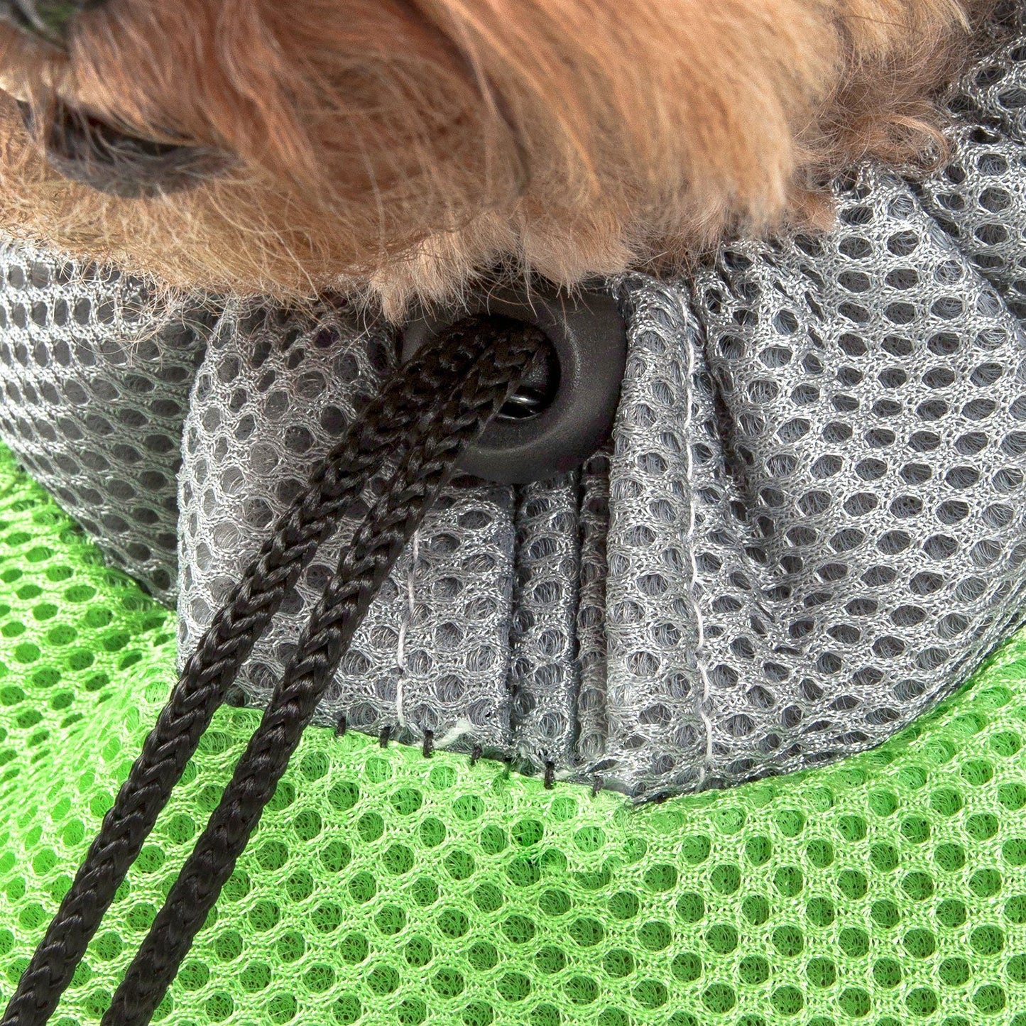 Pet Life ® 'Bark-Pack' Travel On-The-Go Hand's Free Sporty Performance Pet Dog Backpack Carrier