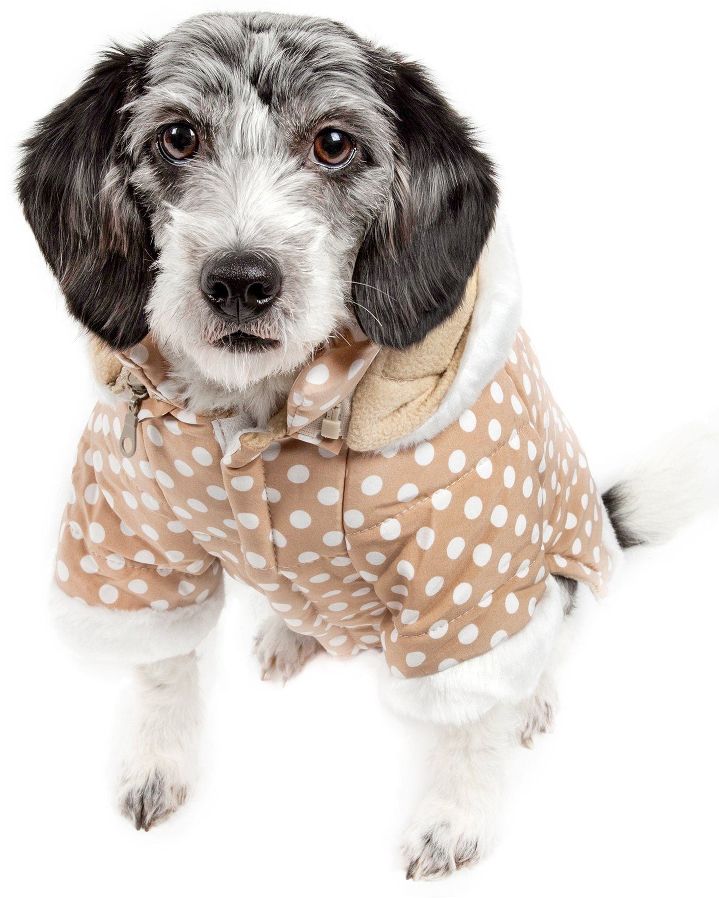 Pet Life ® 'Bow-Couture' Polka-Dot Bowed Insulated Dog Sweater Jacket