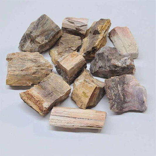 Petrified Wood Rough