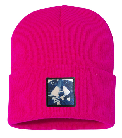 Raccoon Pop Beanie