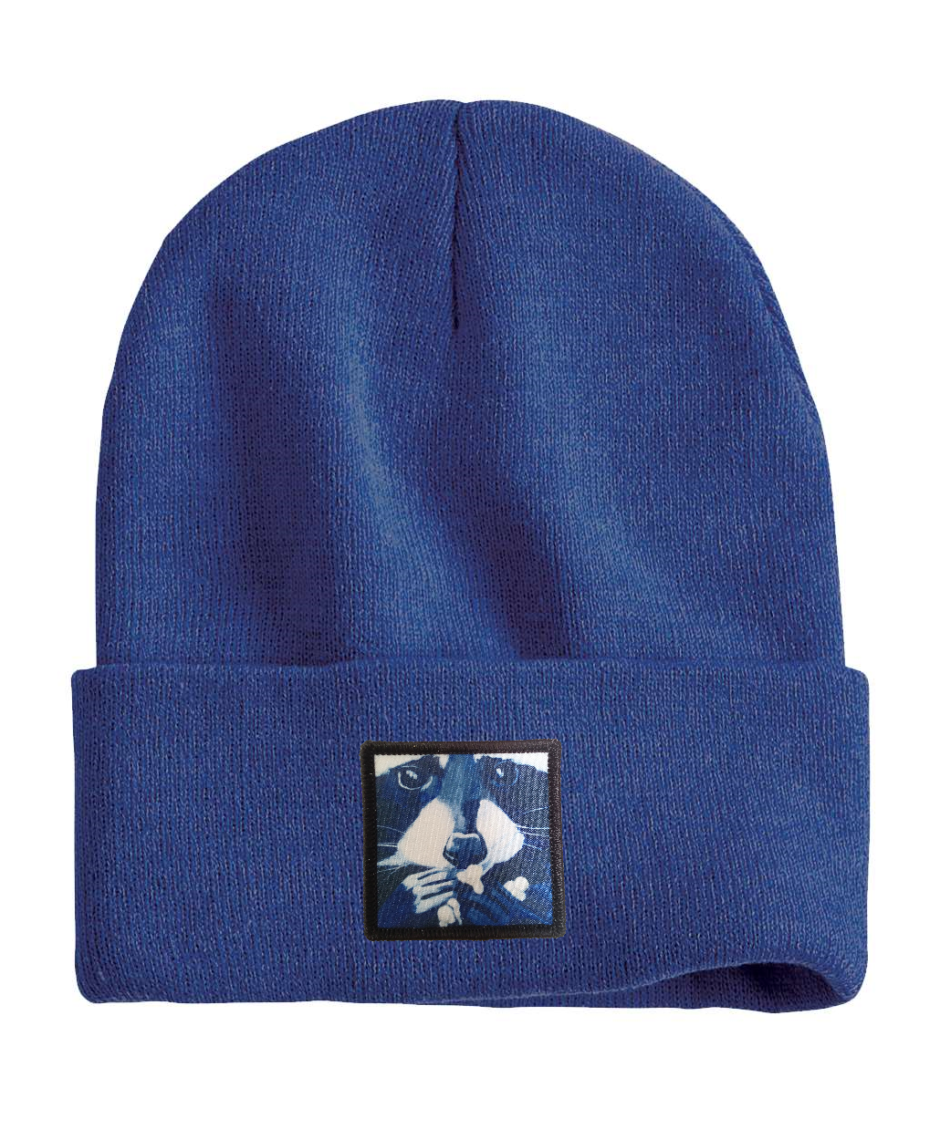 Raccoon Pop Beanie