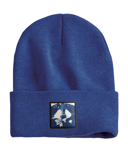 Raccoon Pop Beanie