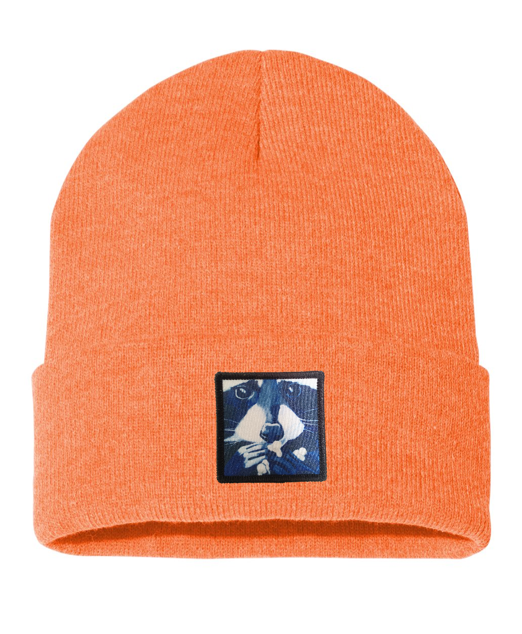 Raccoon Pop Beanie