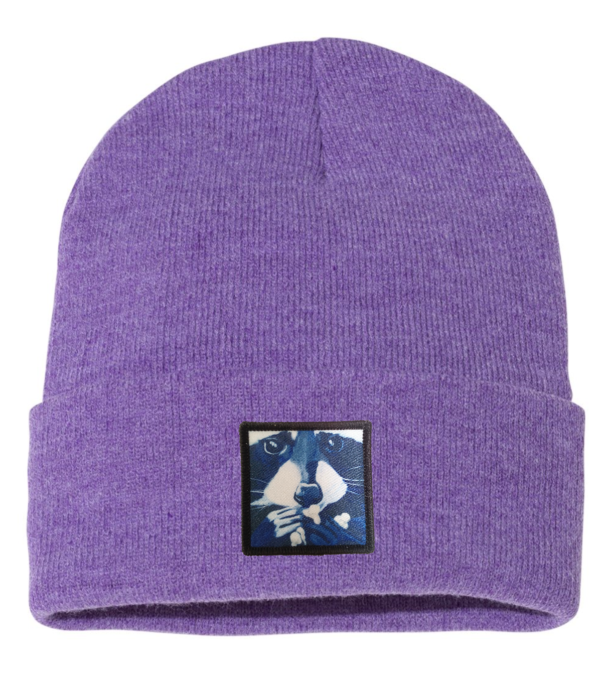 Raccoon Pop Beanie