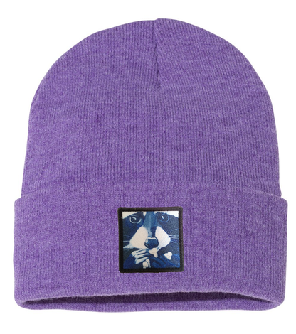 Raccoon Pop Beanie