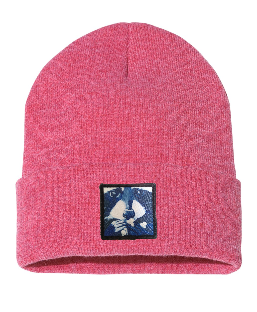 Raccoon Pop Beanie