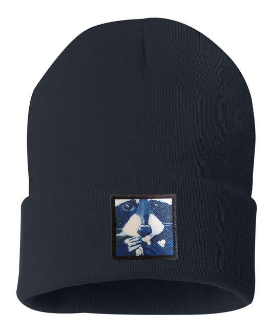 Raccoon Pop Beanie