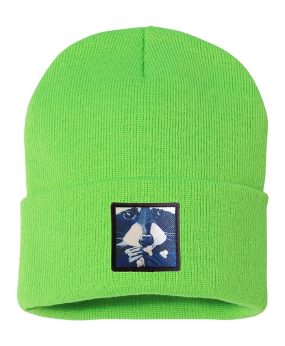 Raccoon Pop Beanie