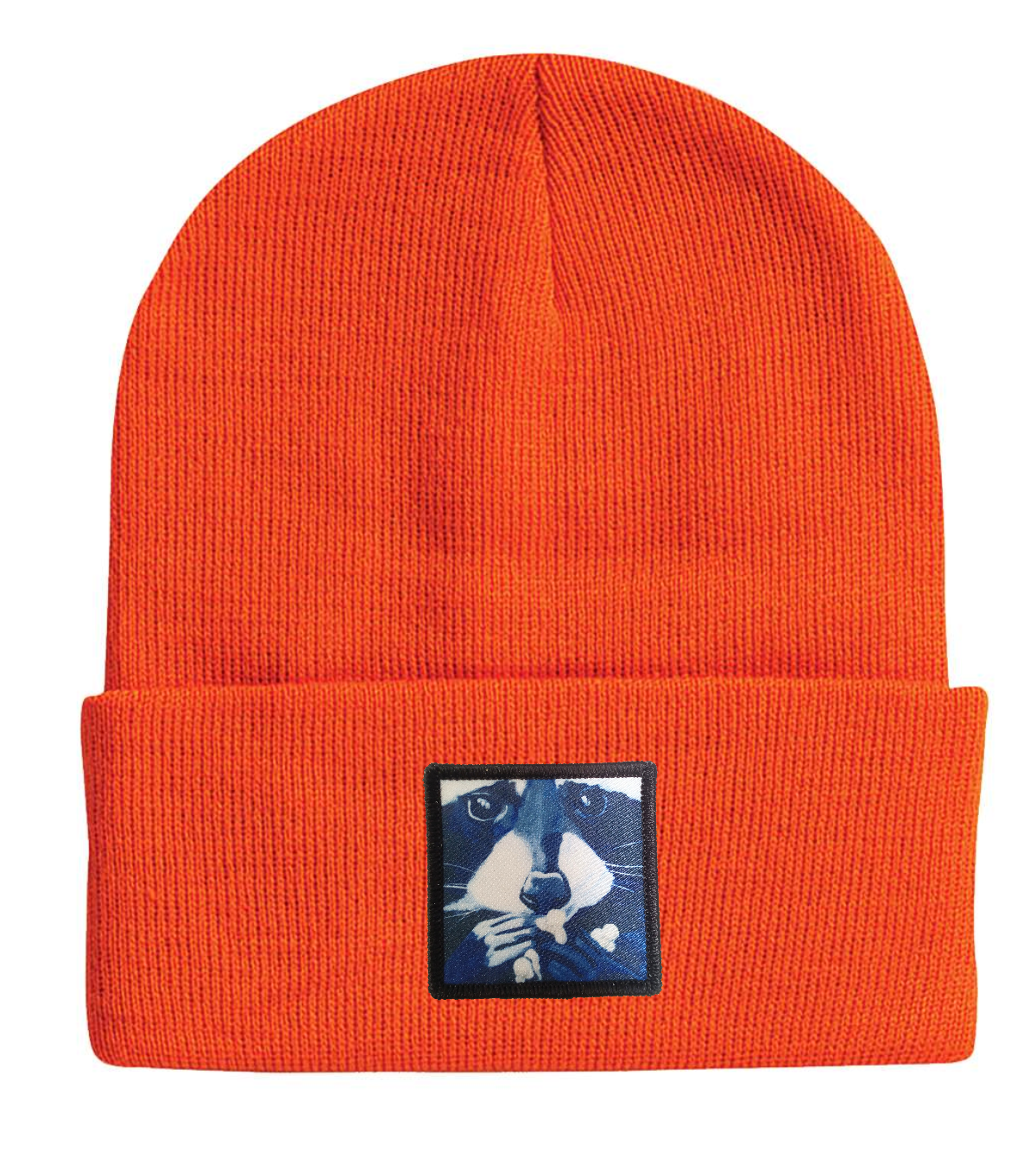 Raccoon Pop Beanie