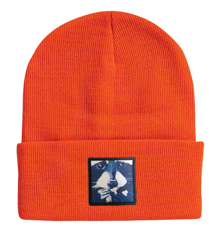 Raccoon Pop Beanie