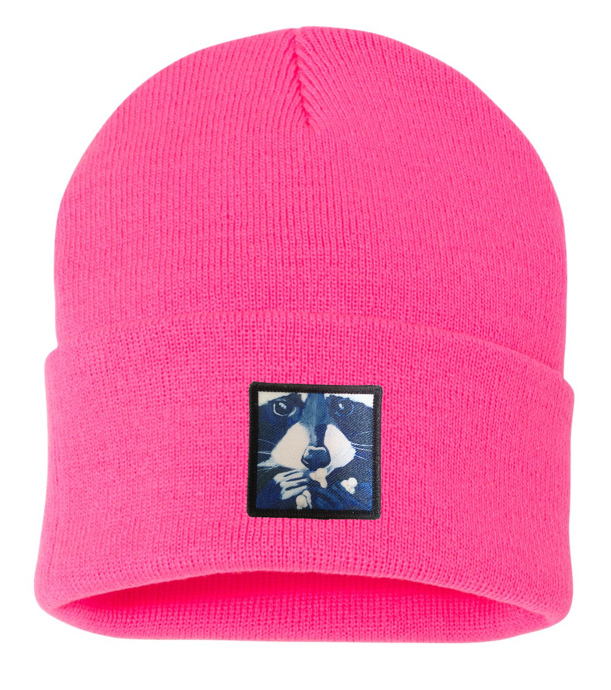 Raccoon Pop Beanie