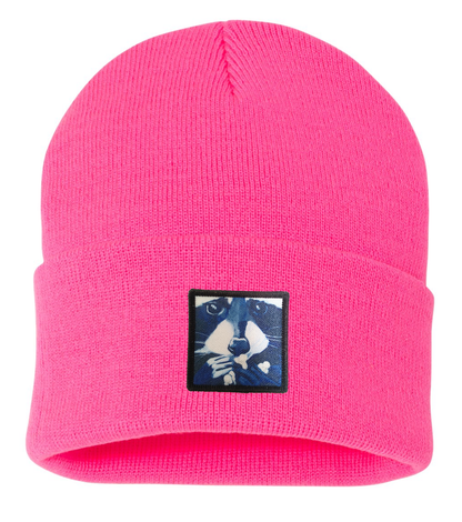 Raccoon Pop Beanie