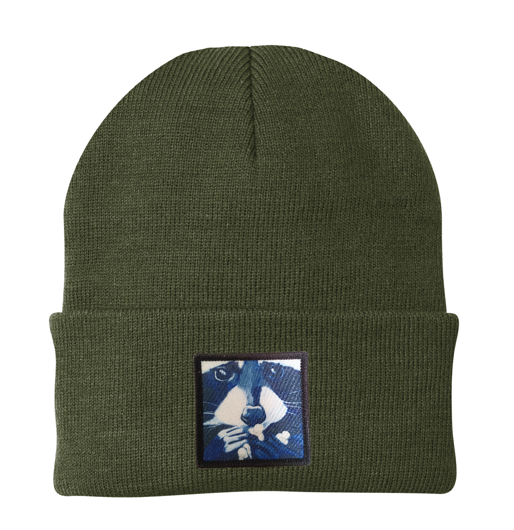Raccoon Pop Beanie