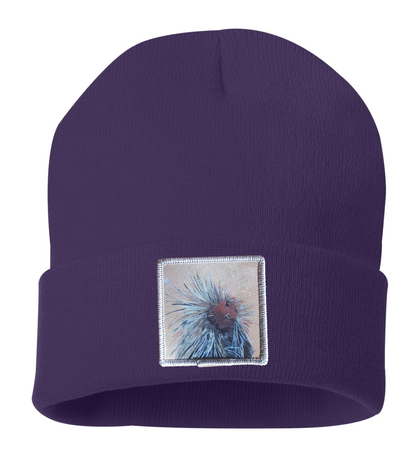 Porcupine Beanie