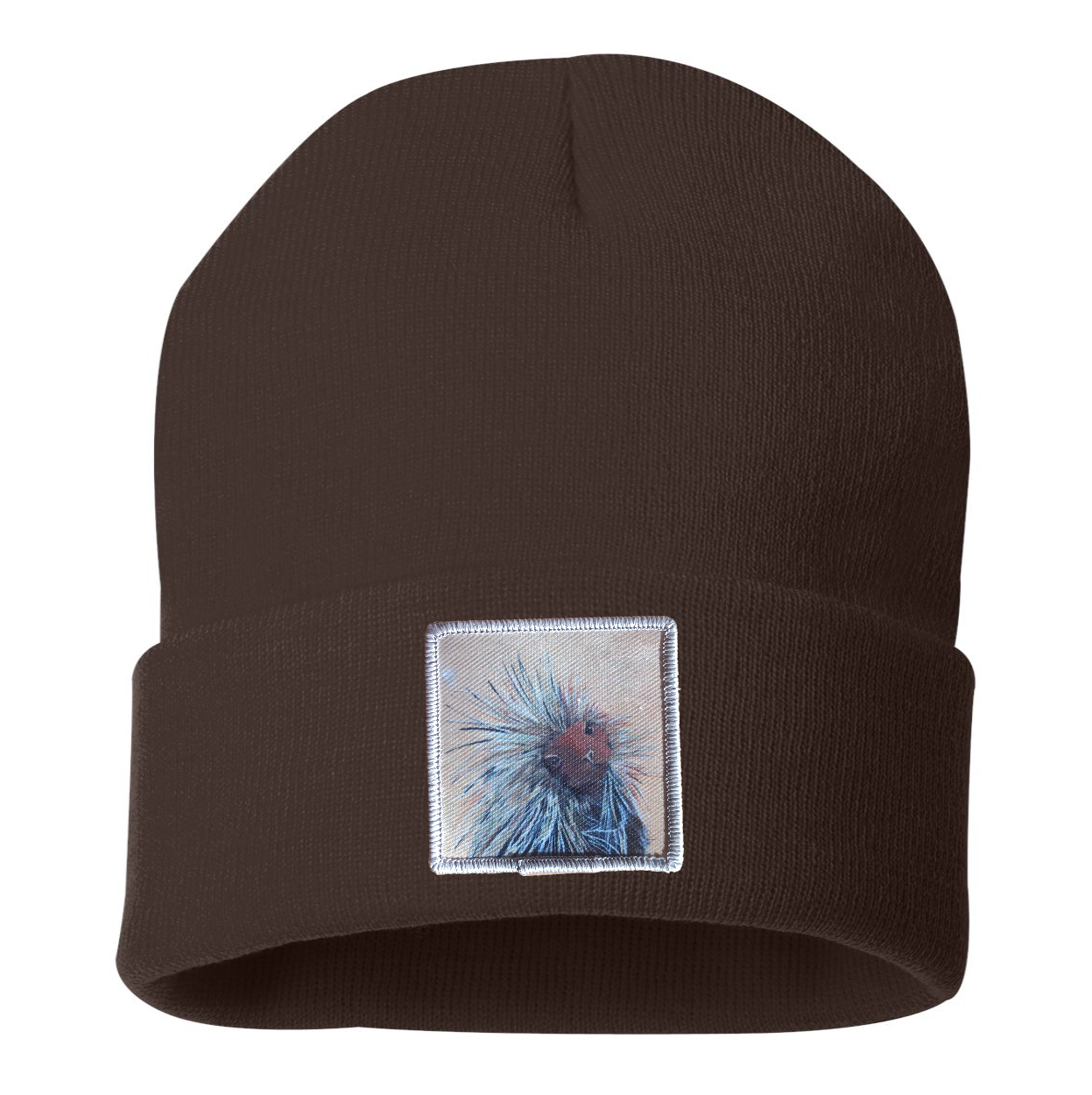 Porcupine Beanie